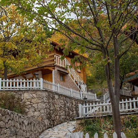 Paradise Albergue