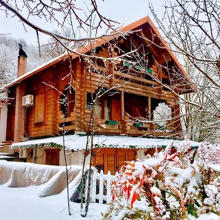 אכסניה Paradise Dajti