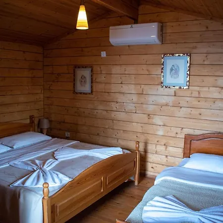 Paradise Albergue Dajti