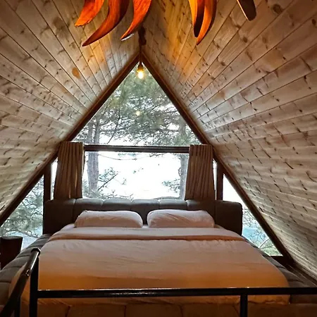 Paradise אכסניה Dajti