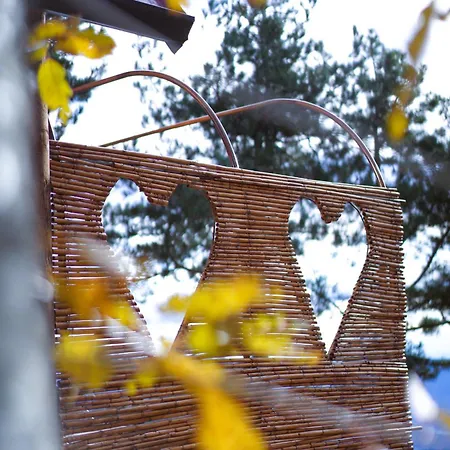 Paradise אכסניה *