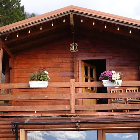 Albergue Paradise Dajti