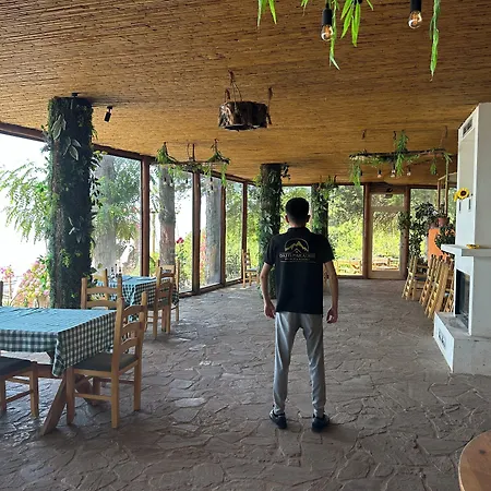 Paradise