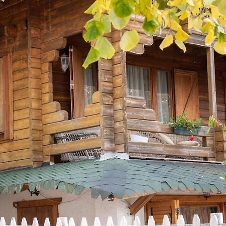 Hostel Paradise Dajti