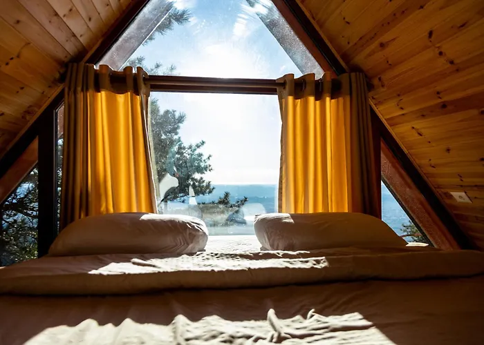 Paradise * Dajt