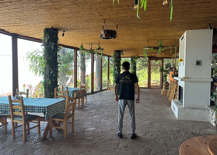 Paradise