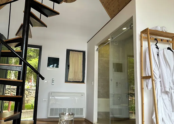 Hostel Paradise